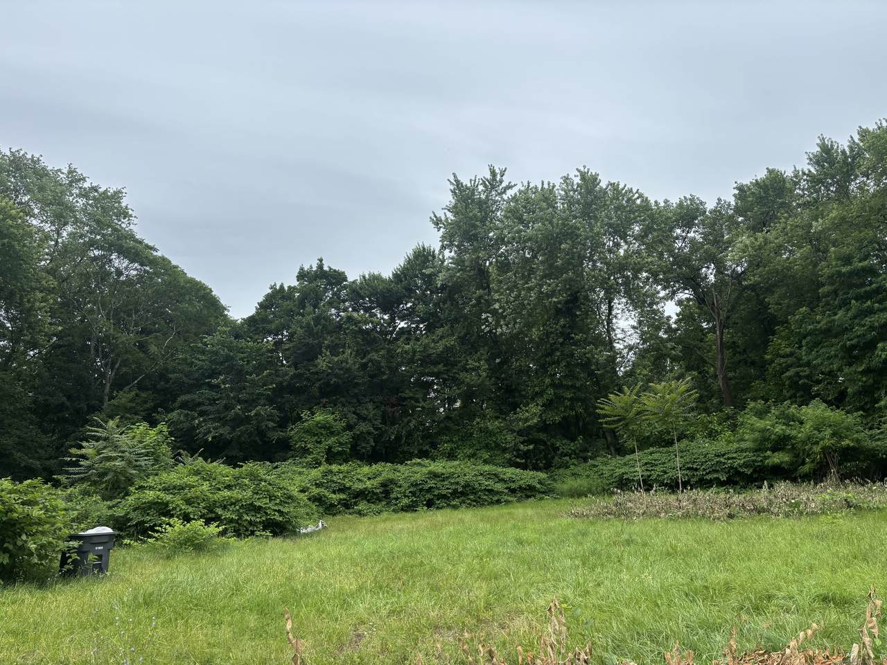 177 Capen Street - Photo 1