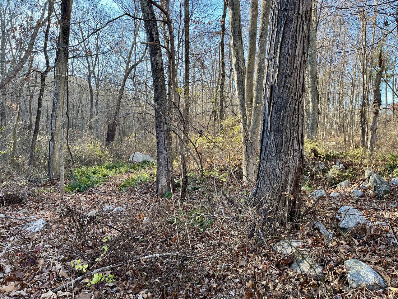 283 Windham Avenue - Photo 1