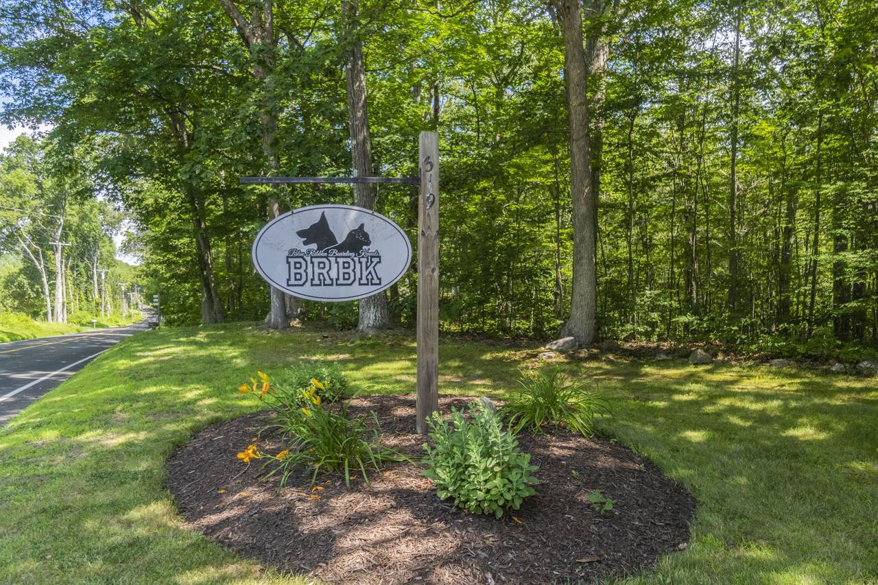 319 Main Street - Photo 1