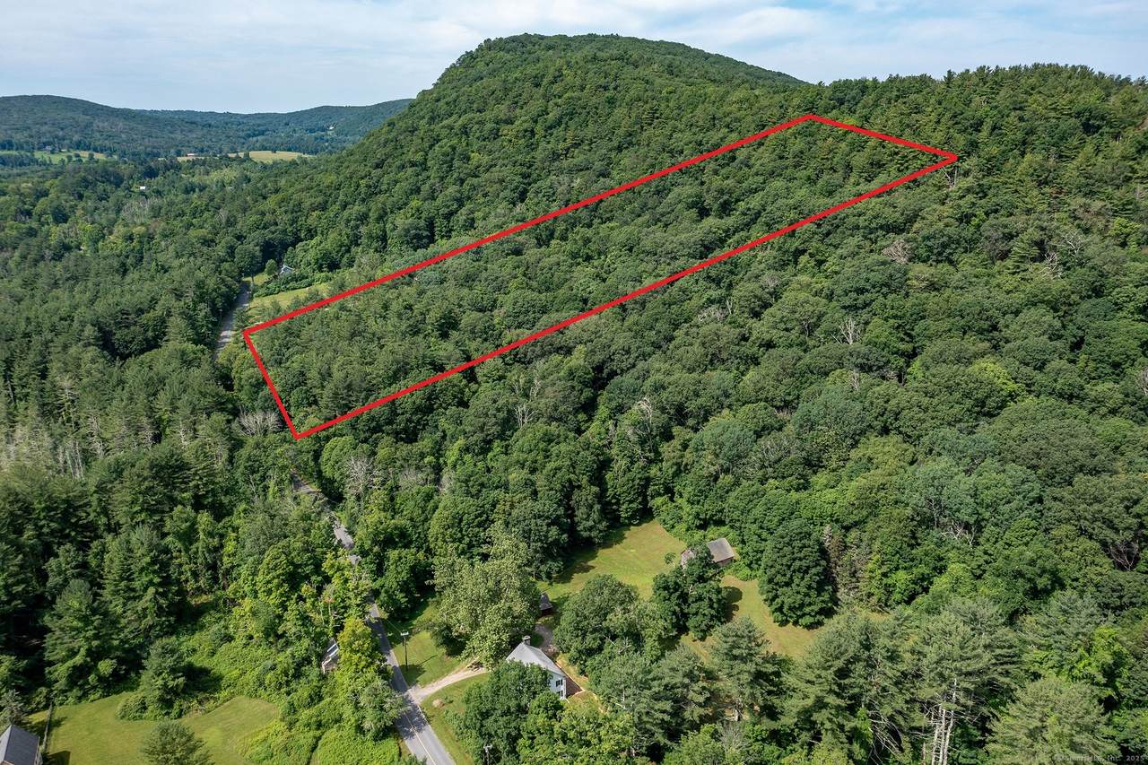 163 White Hollow Road - Photo 1