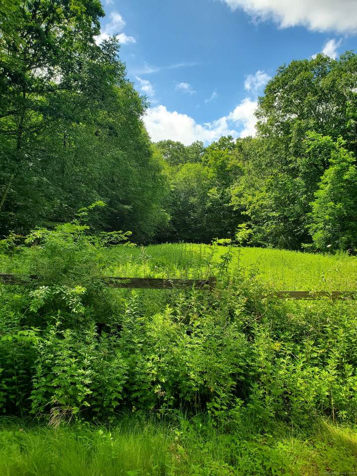 Lot 4A Weeks Road - Photo 1