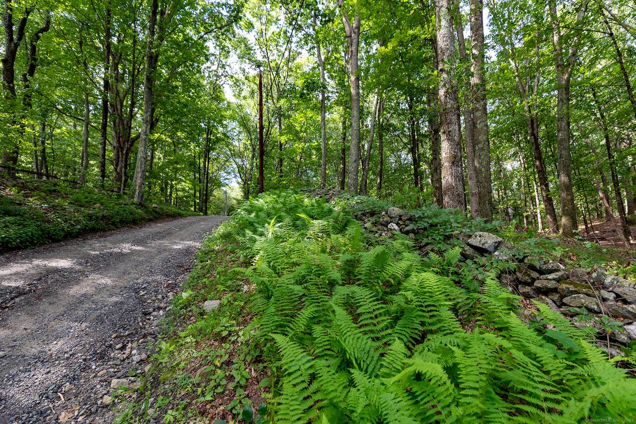 31 Holmes Road - Photo 1