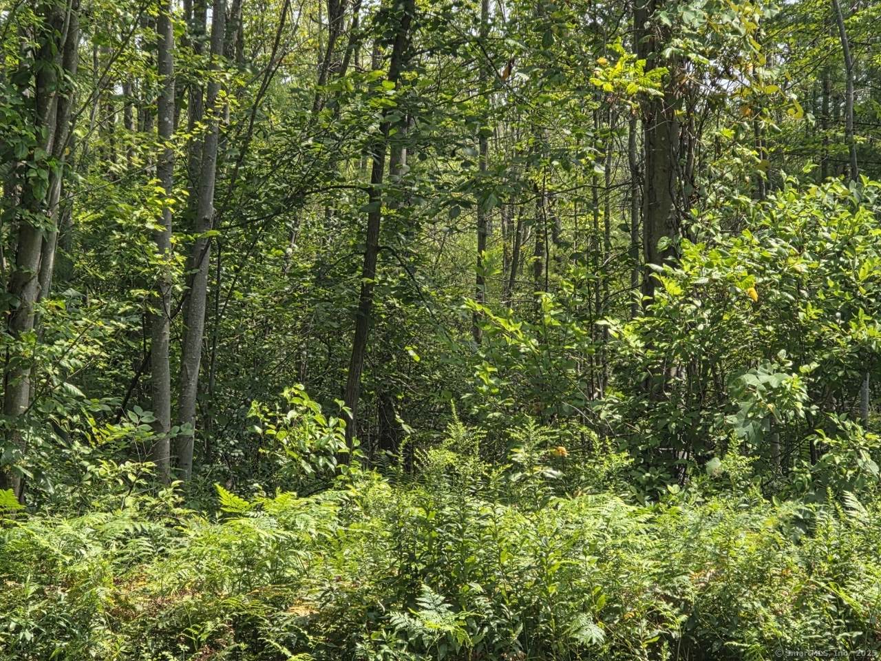 1220 Blue Hills Avenue - Photo 1