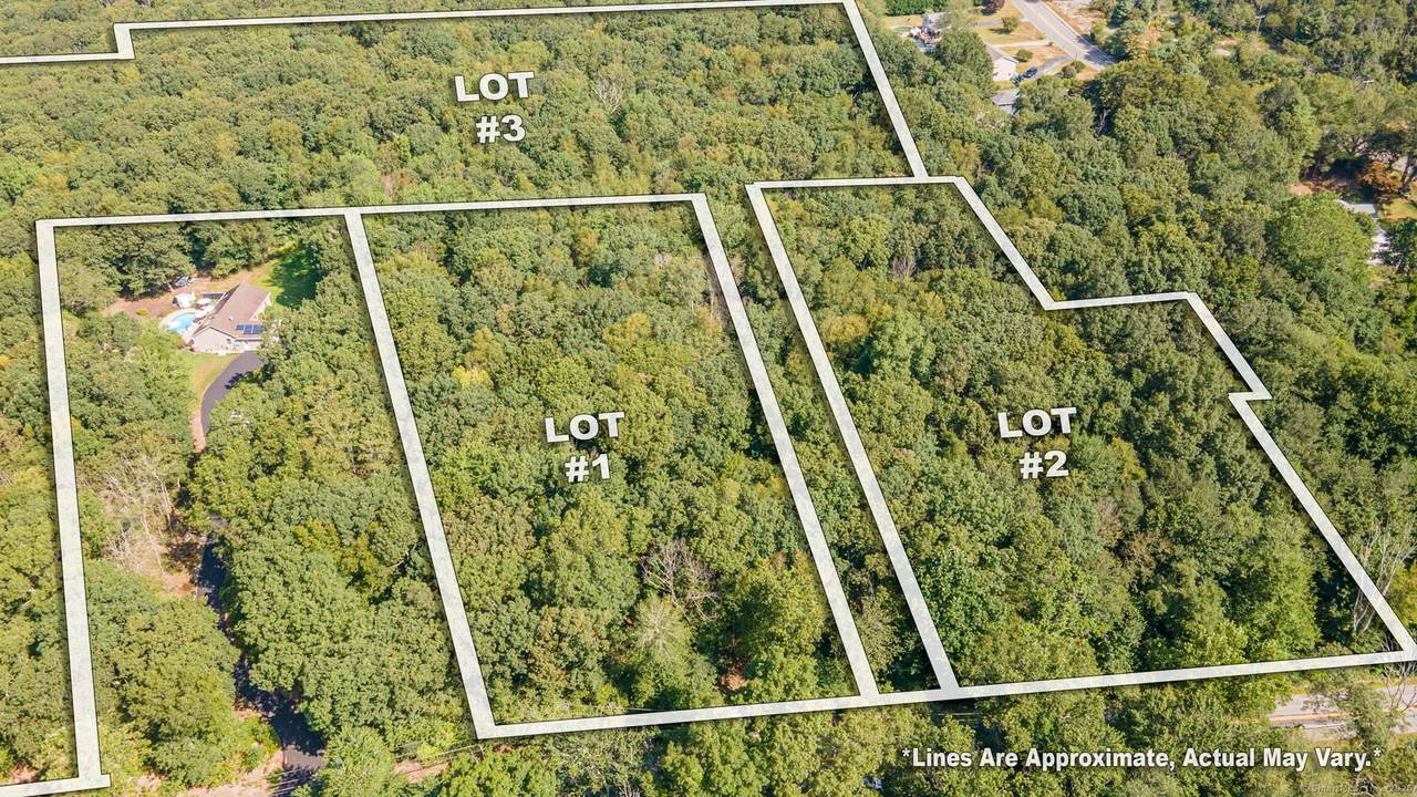 62 Douglas Lane - Photo 1