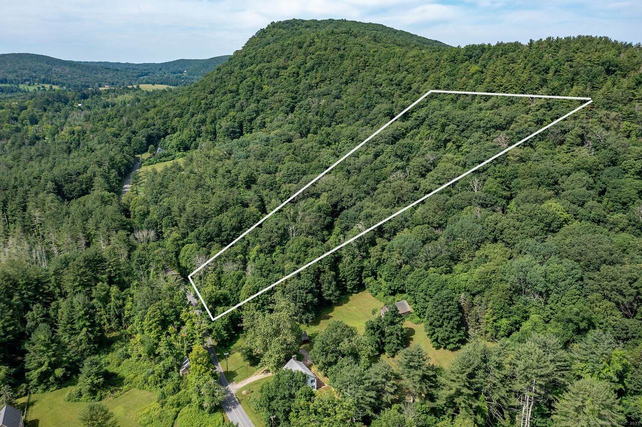 153 White Hollow Road - Photo 1