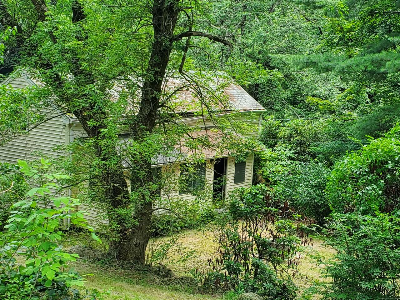 28 Trumbull Street - Photo 1