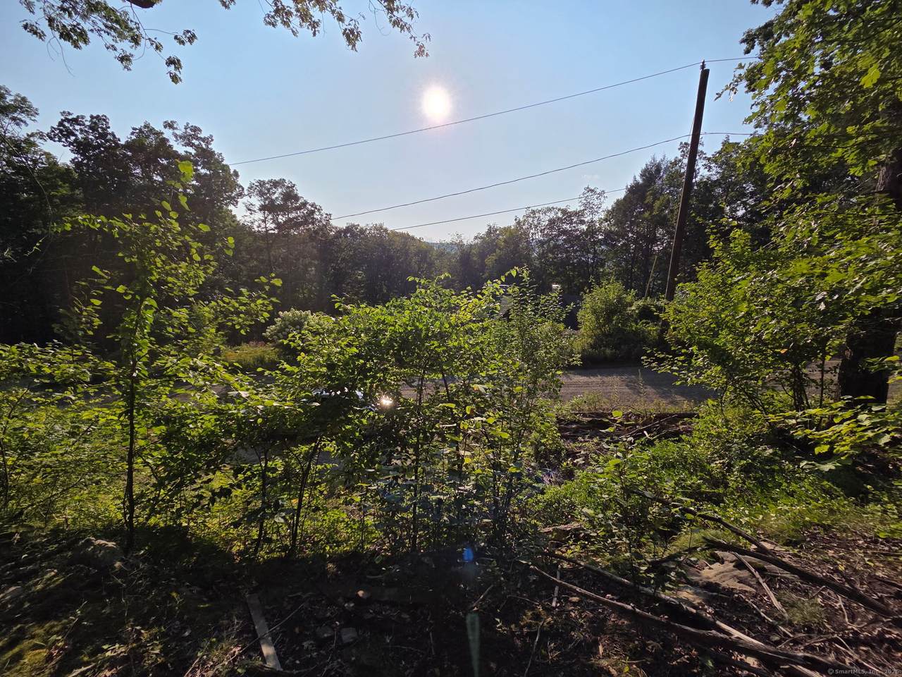 34 Front Of The Mountain Road - Photo 1