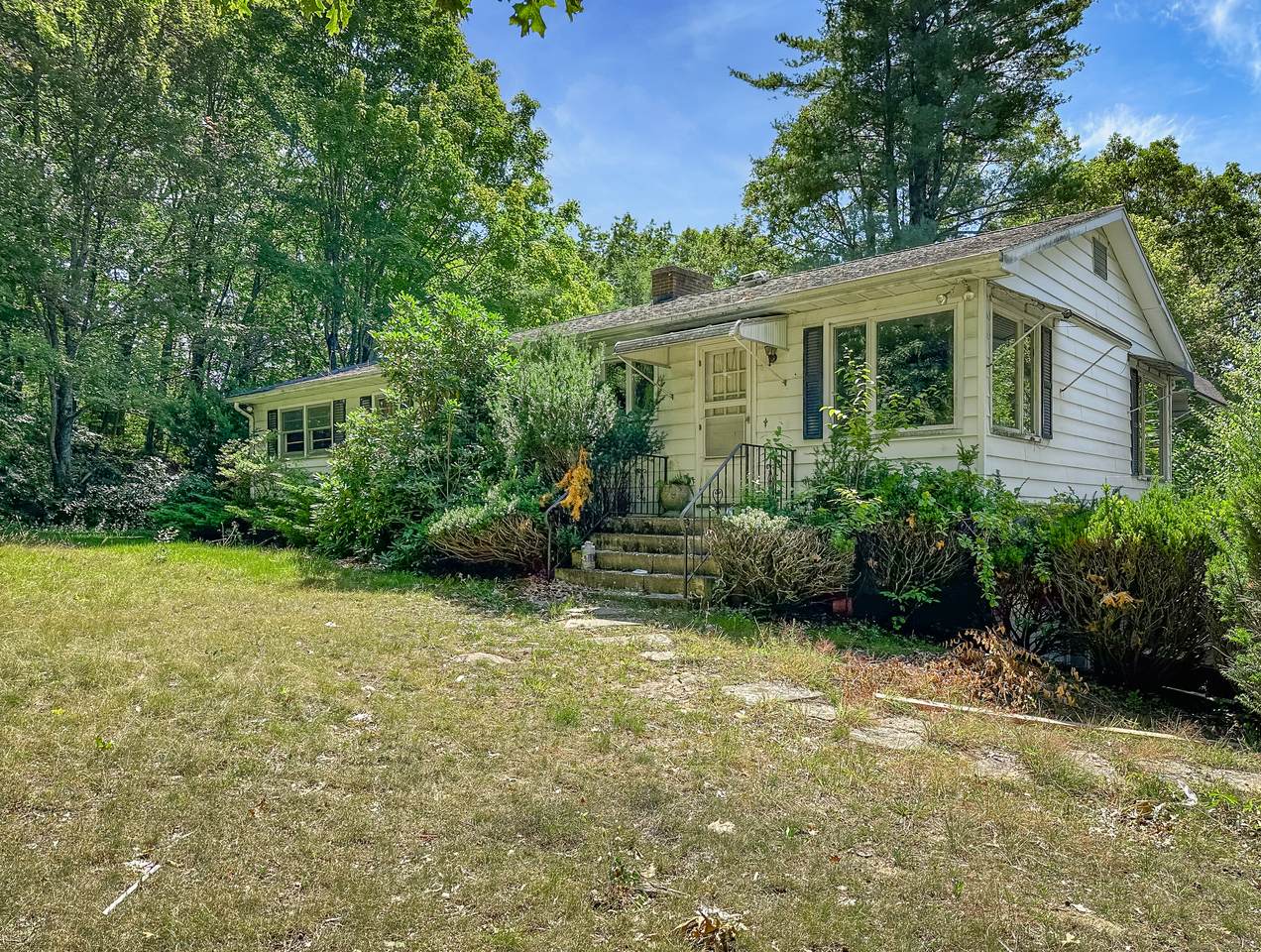 46 Bracewood Road - Photo 1