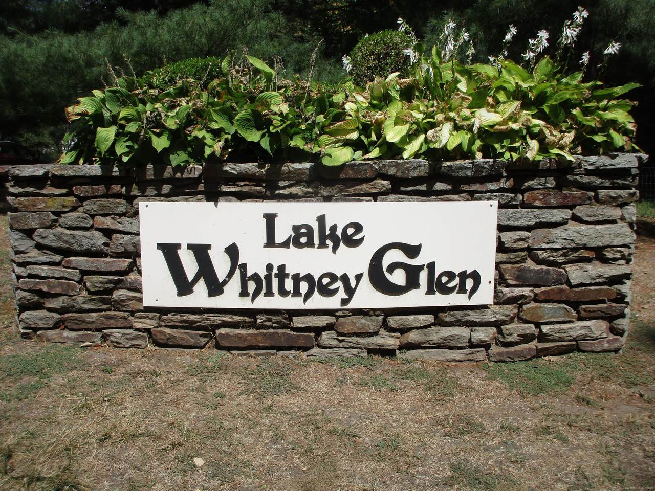 365 Mather Street - Photo 1