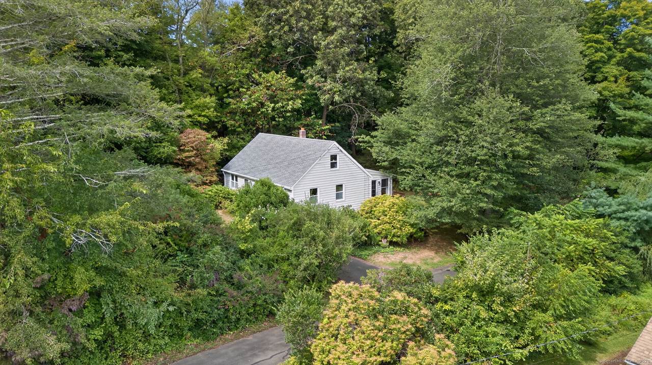 46 Kelsey Street - Photo 1