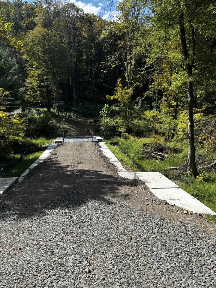 280 Jeremy Swamp Road - Photo 1