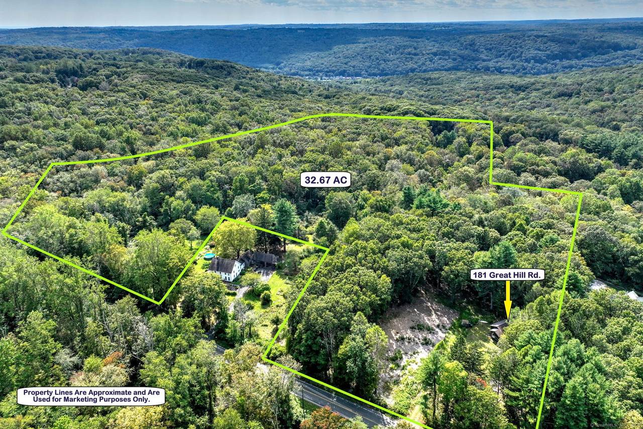 181 Great Hill Road - Photo 1