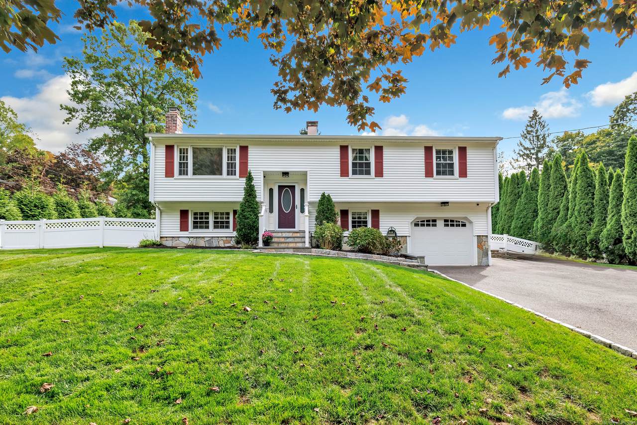 99 Timber Trail - Photo 1