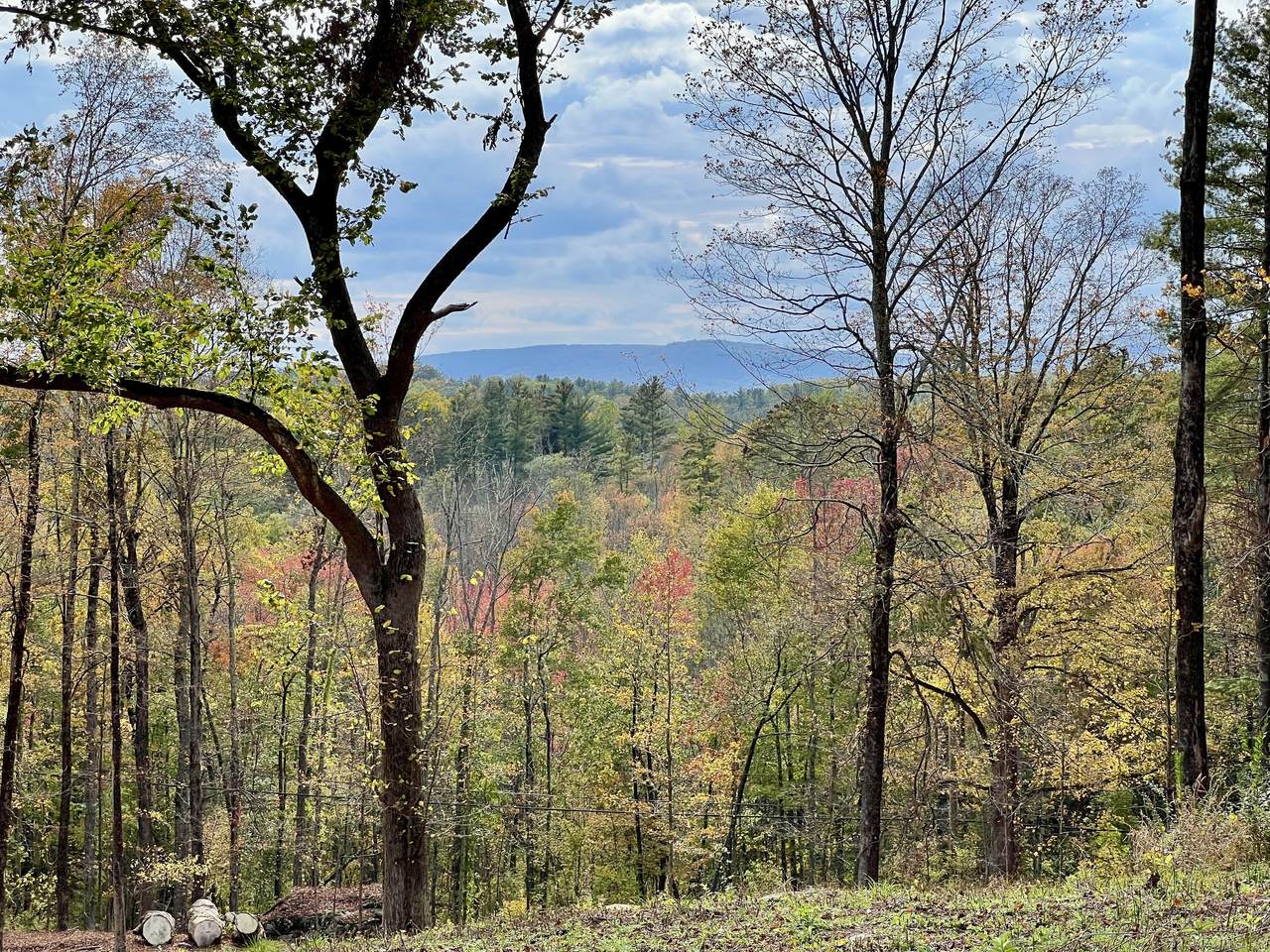 353 Twin Lakes Road - Photo 1