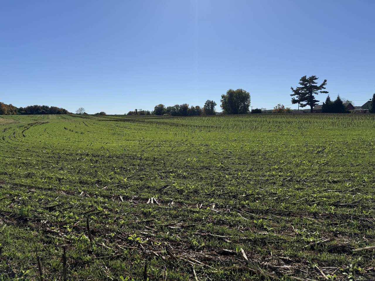 20 Holton Road - Photo 1