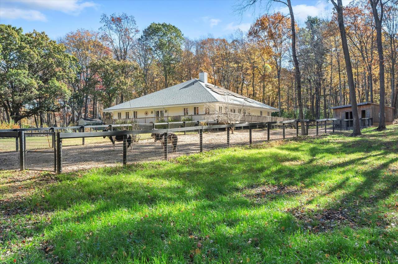 317 Tater Hill Road - Photo 1