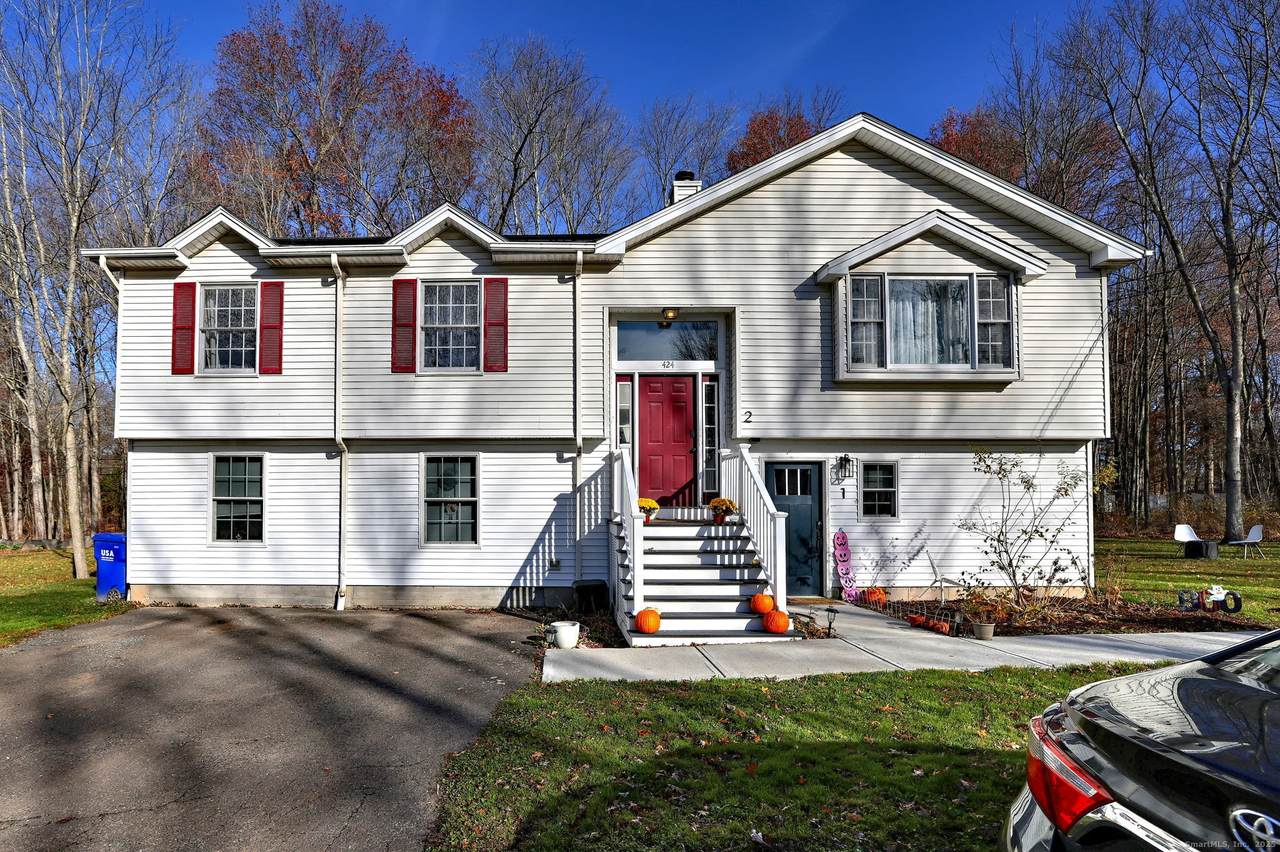 424 Bridge Street - Photo 1