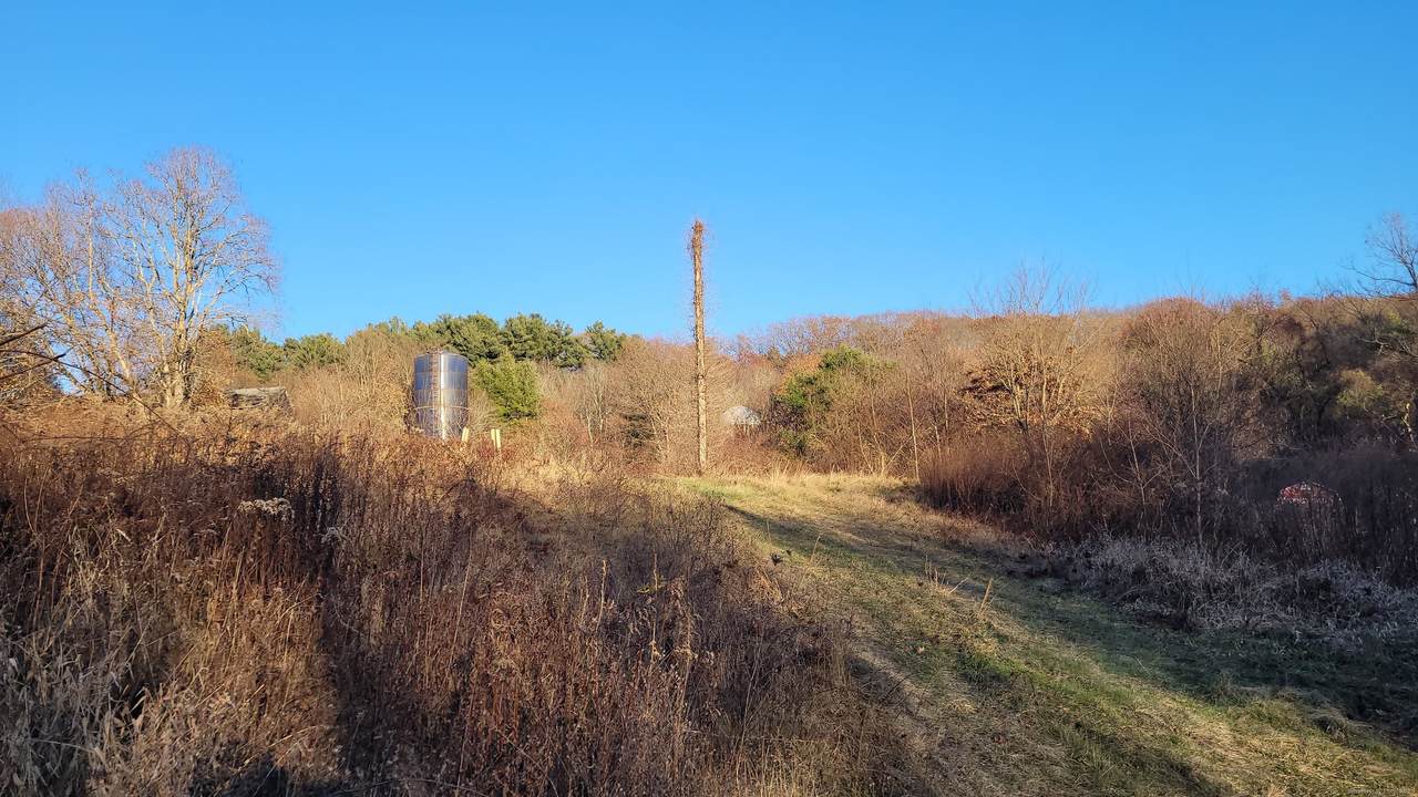 https://bt-photos.global.ssl.fastly.net/ctmls/1280_boomver_2_24140956-1.jpg