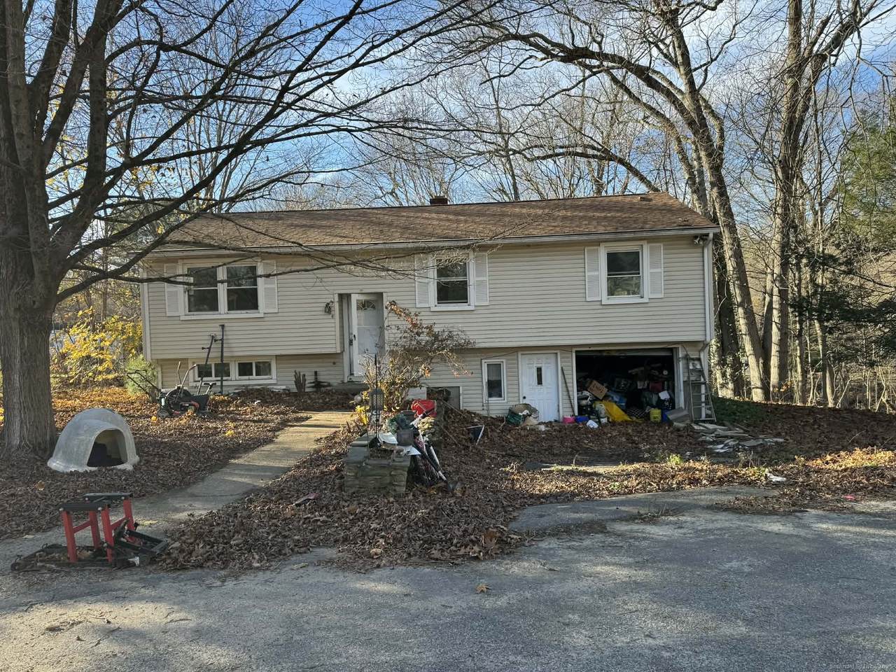 6 Elaine Street - Photo 1