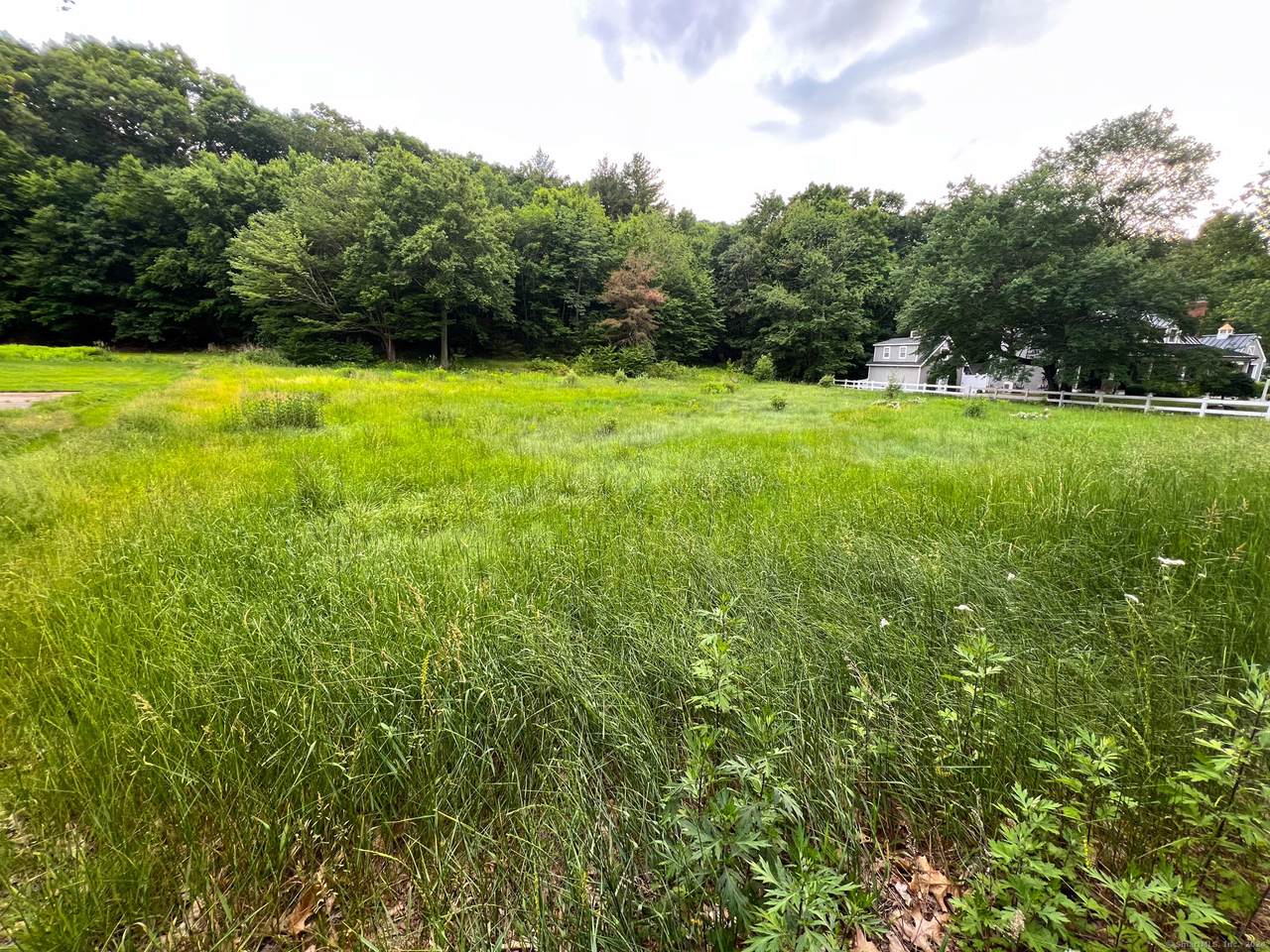 390 Ash Swamp Road - Photo 1