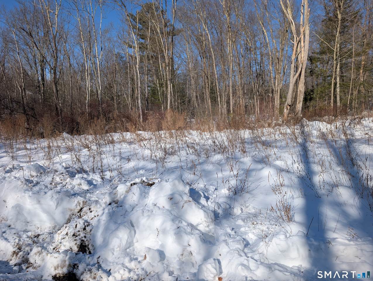 660 Torringford Street - Photo 1
