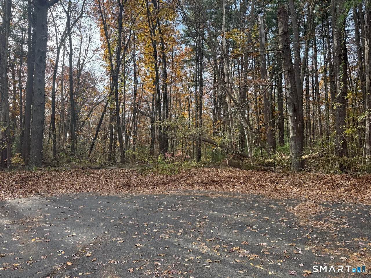 0 Walnut And Larch Drive - Photo 1