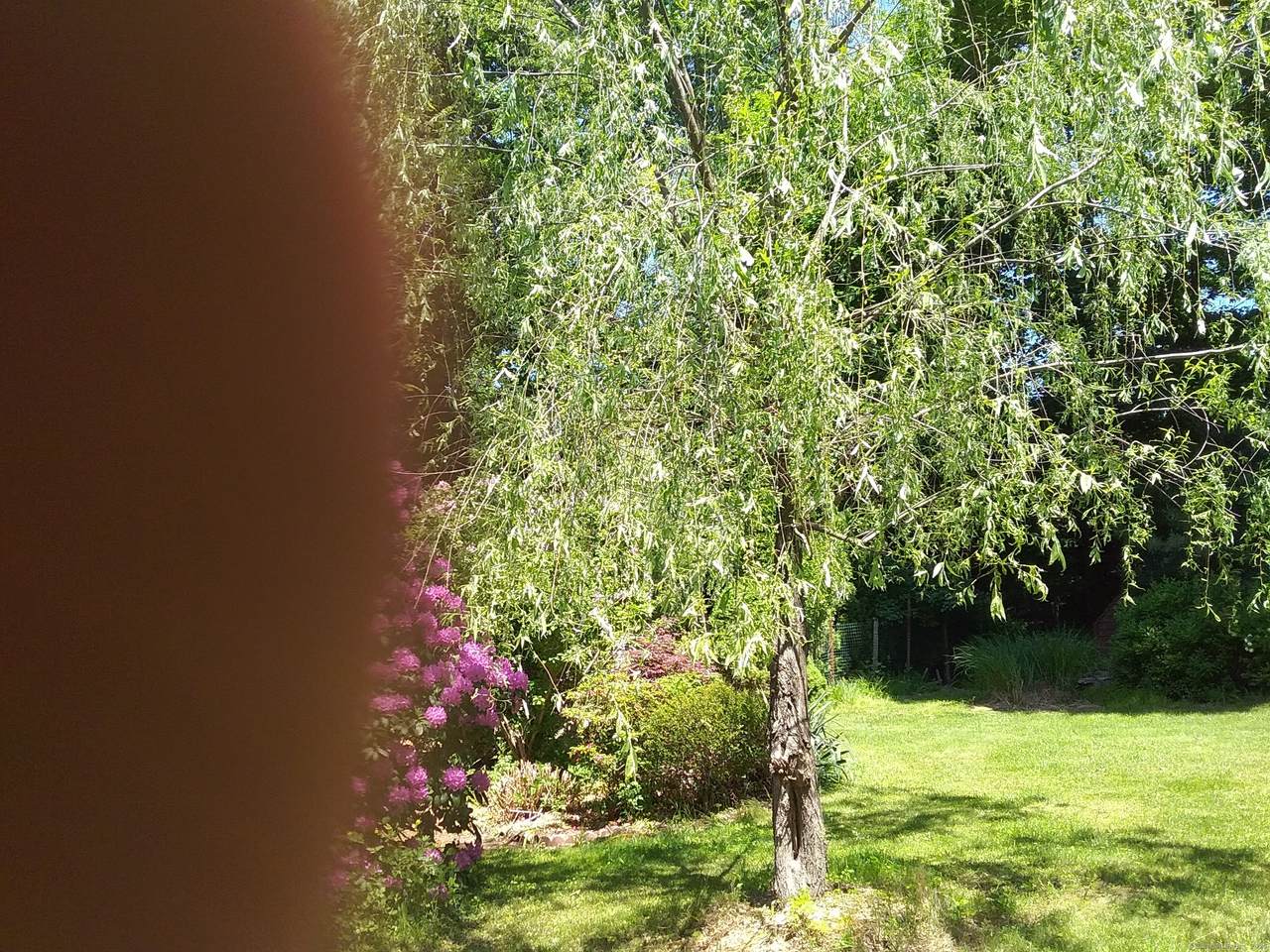 30 Village Road - Photo 1