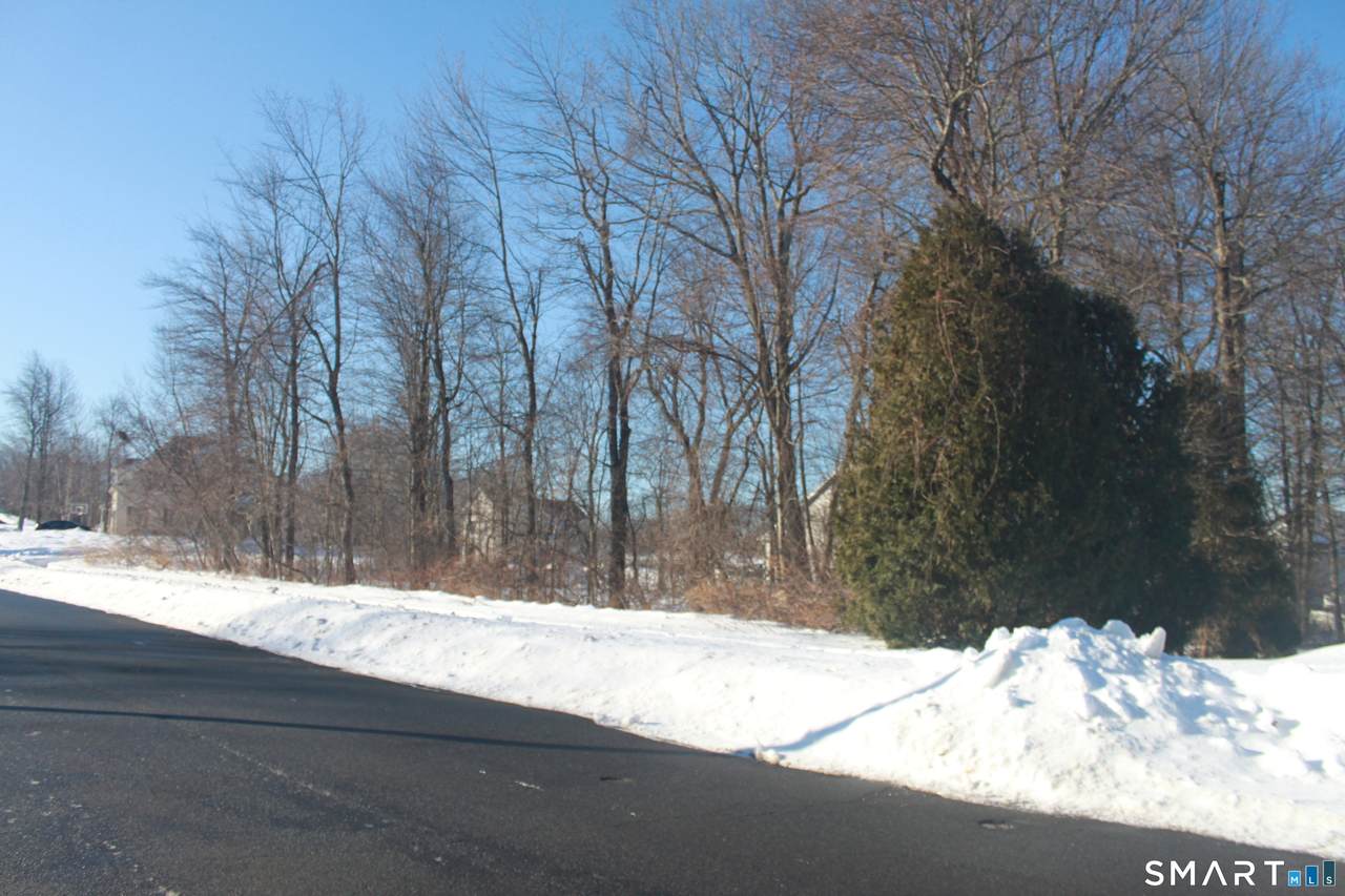 272 Old Orchard Road - Photo 1