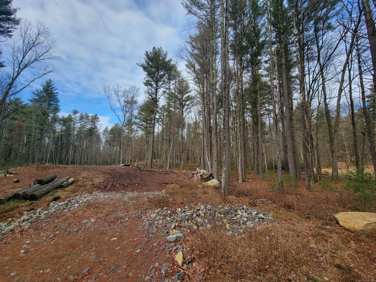 https://bt-photos.global.ssl.fastly.net/ctmls/1280_boomver_1_24161050-1.jpg
