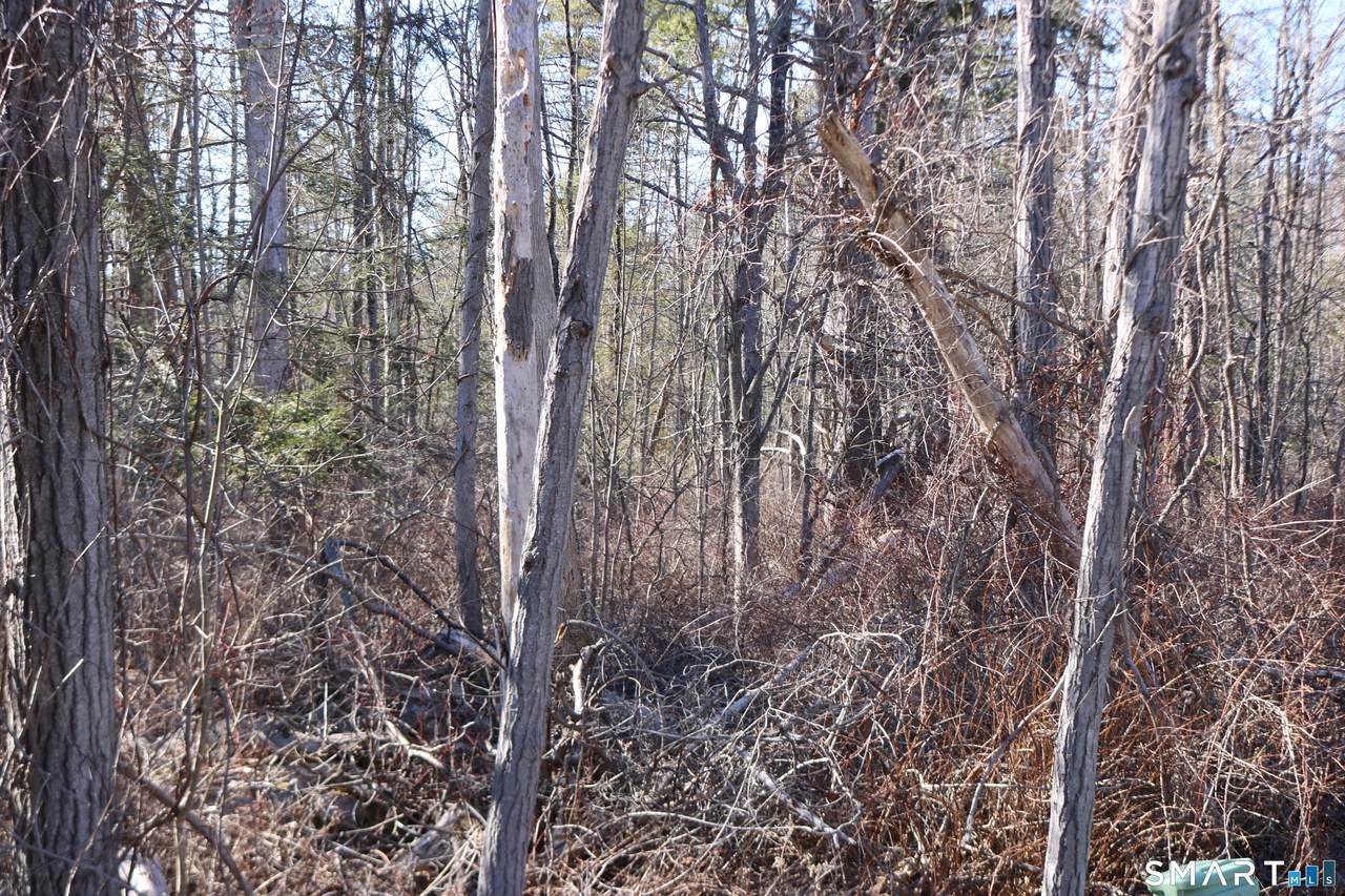  Ashley Drive - Photo 1