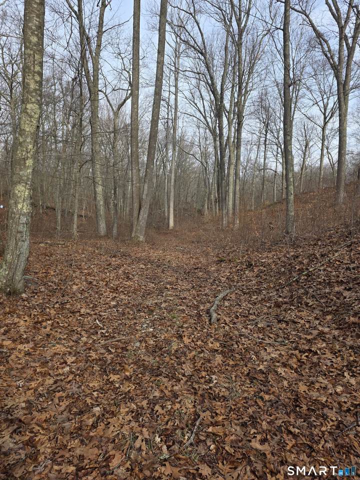  Brainard Road - Photo 1