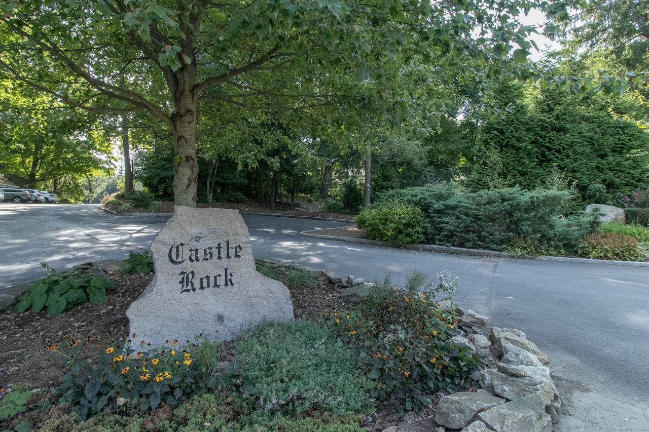 12 Castle Rock - Photo 1