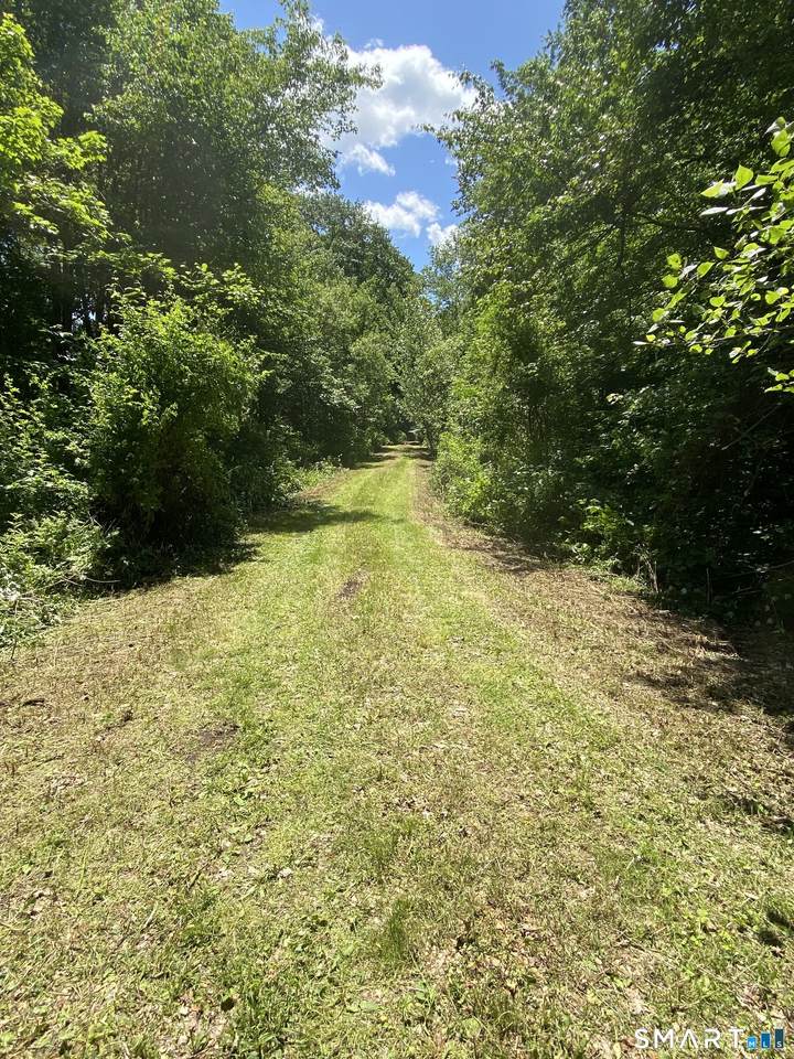 25 Cross Road - Photo 1