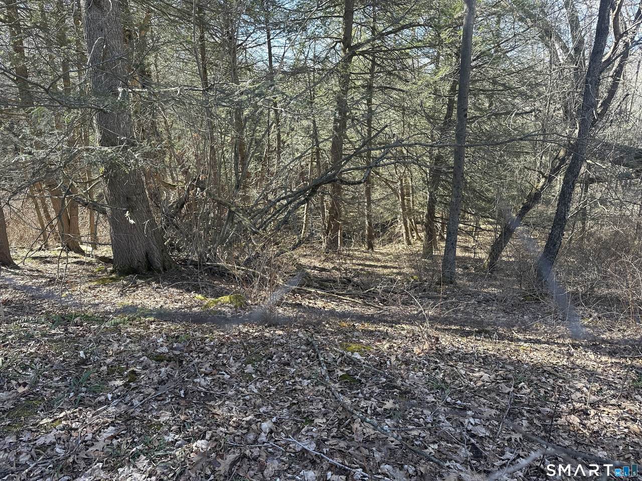https://bt-photos.global.ssl.fastly.net/ctmls/1280_boomver_1_24164185-1.jpg