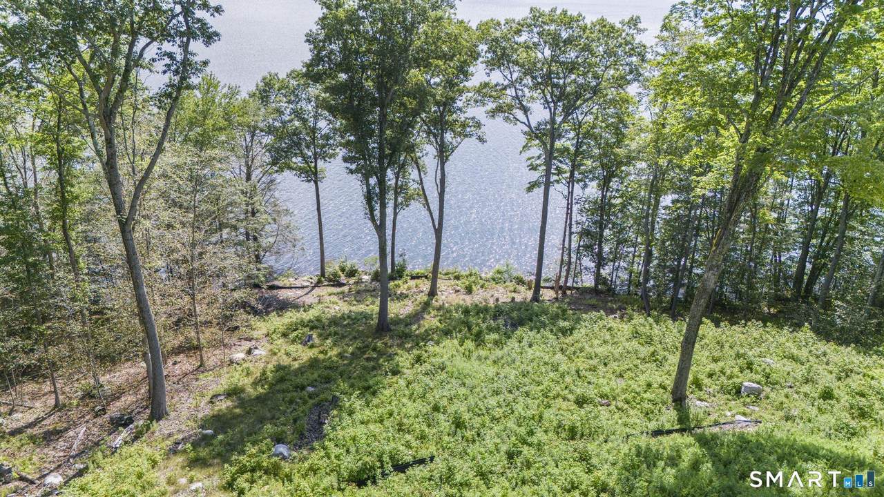 Lot 5 Milton Road - Photo 1