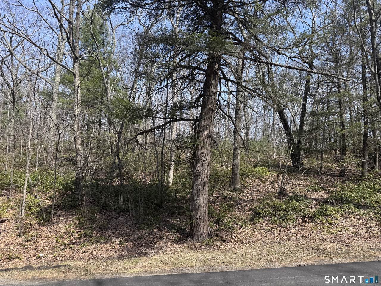  Windy Ridge Road - Photo 1