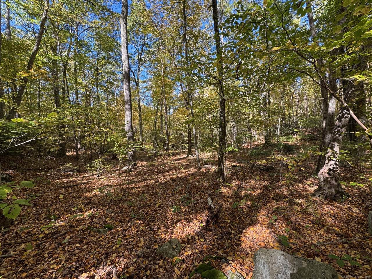 428-LOT Plains Road - Photo 1
