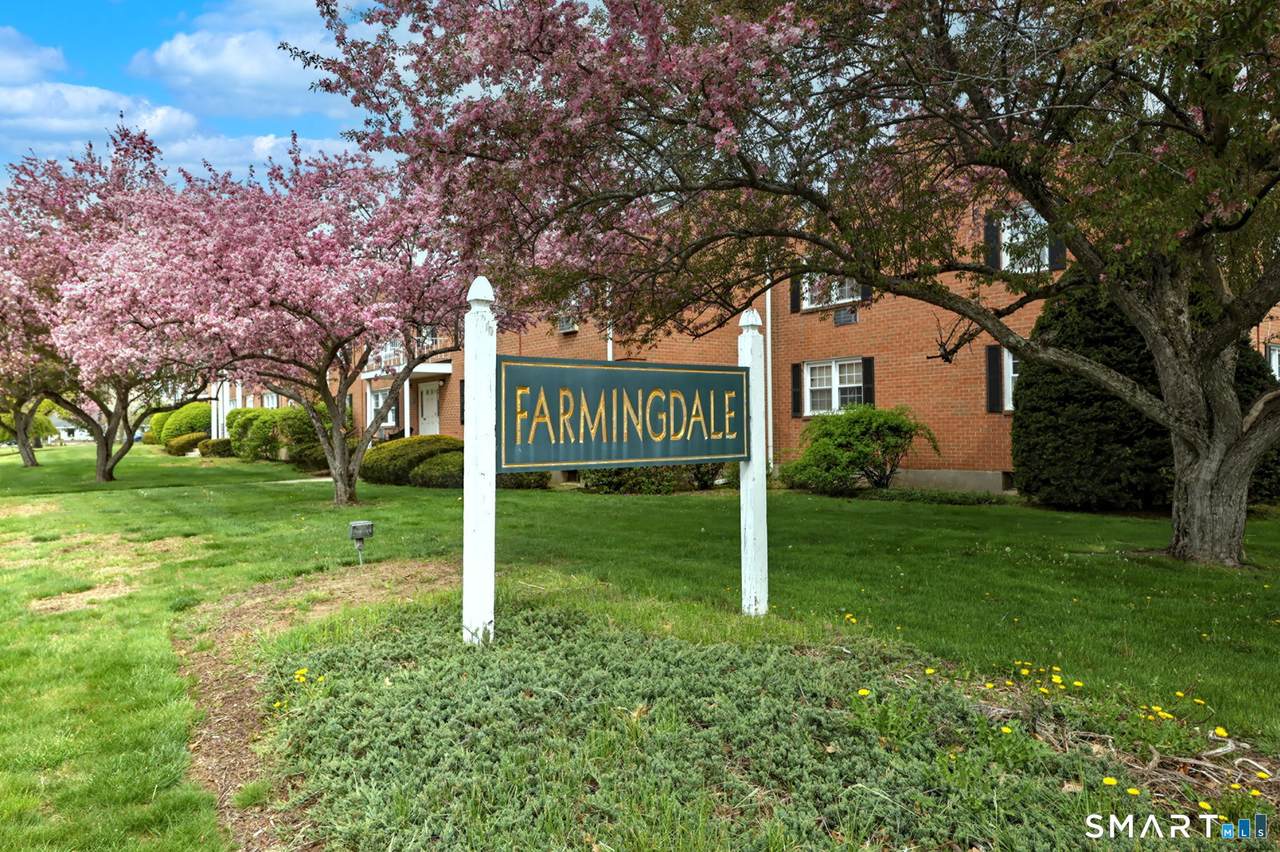 1254 Farmington Avenue - Photo 1