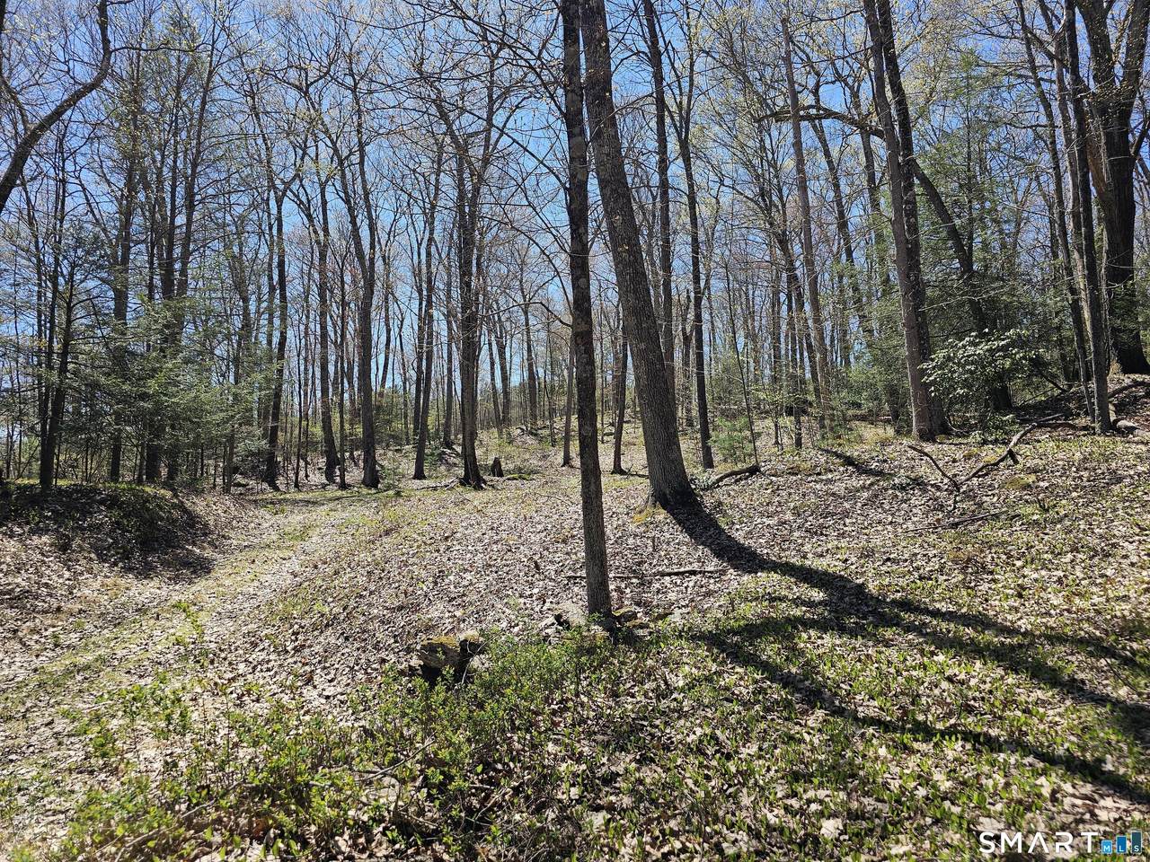 307 North Street - Photo 1
