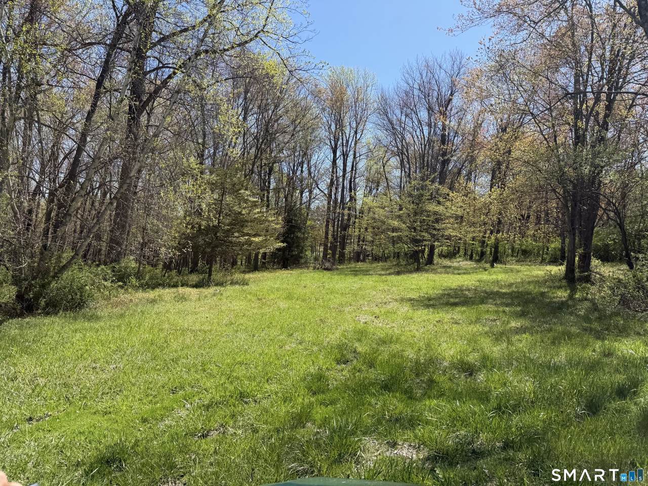 163 Clapboard Ridge Road - Photo 1