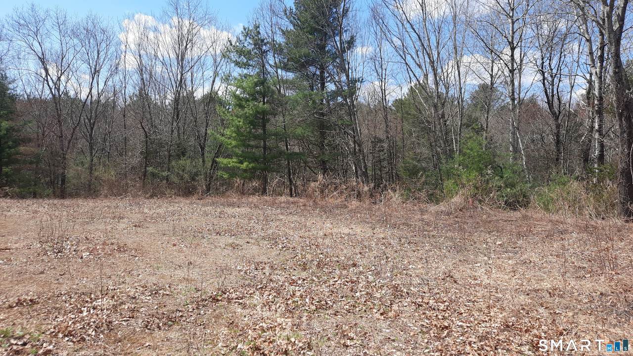 Lot 03-2 New Sweden Road - Photo 1