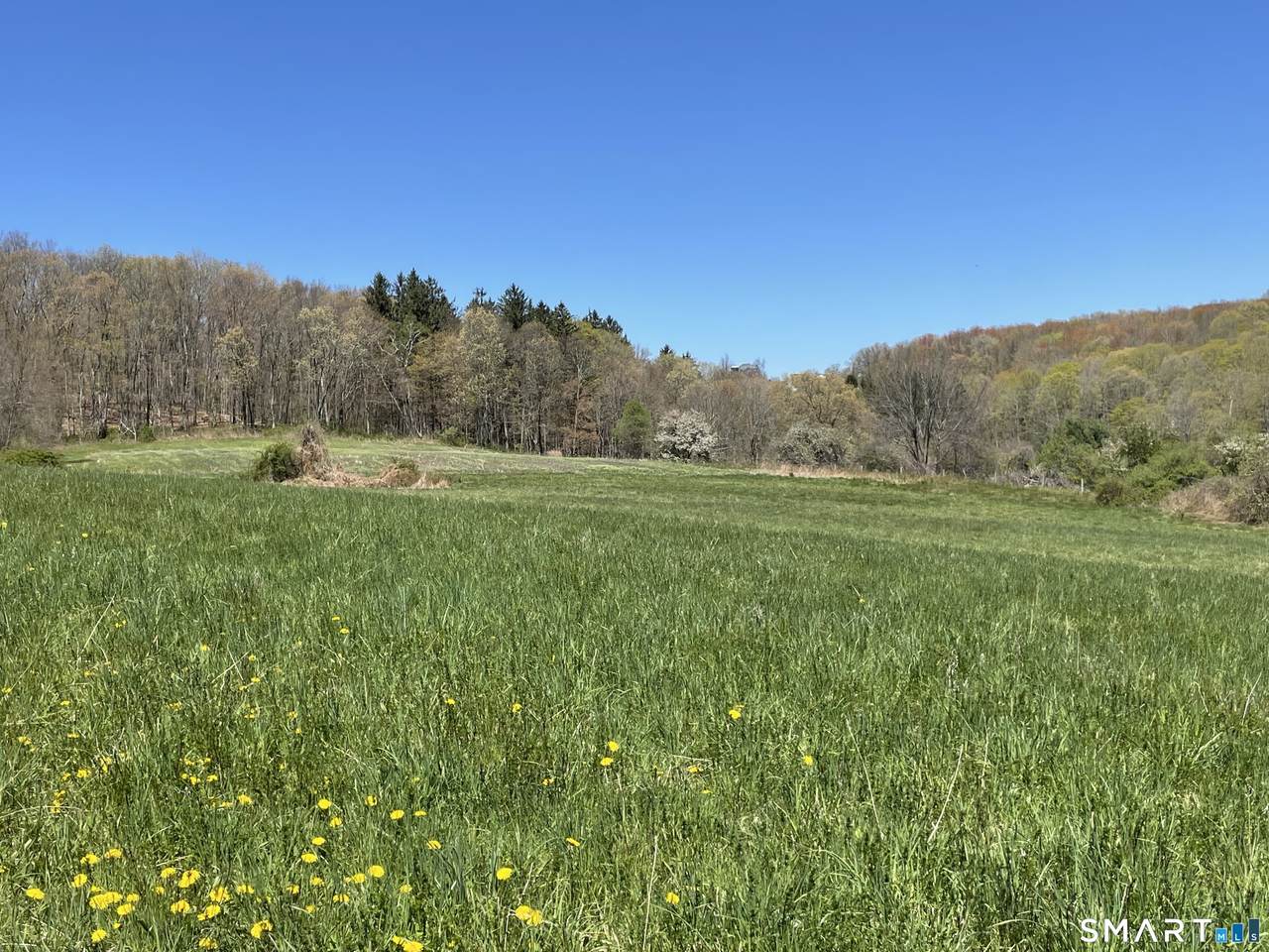 55 Ranney Hill Road - Photo 1