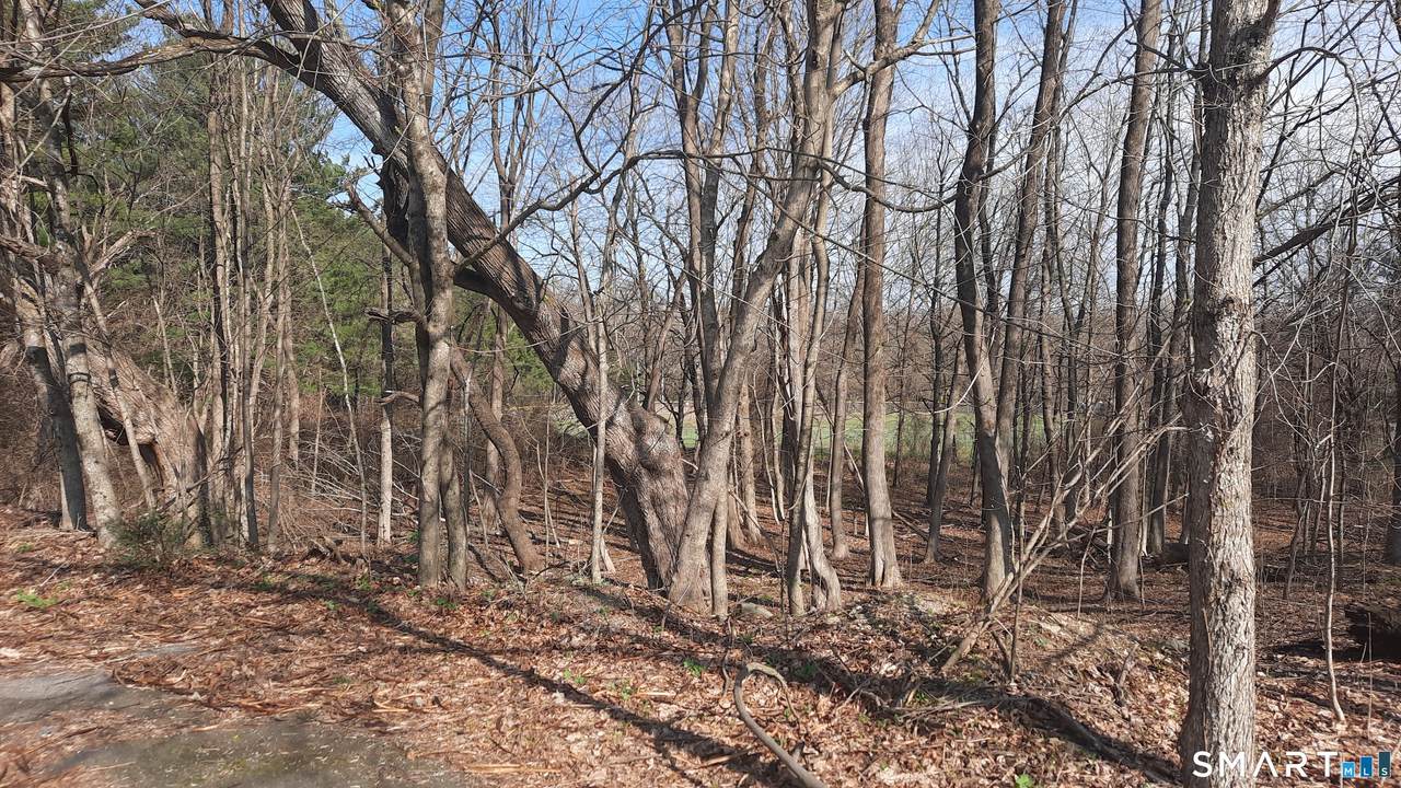  Wauregan Road - Photo 1