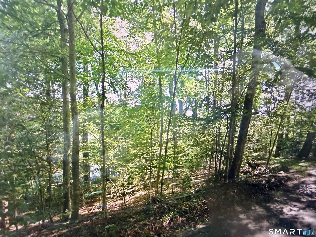 117 Blue Street - Photo 1