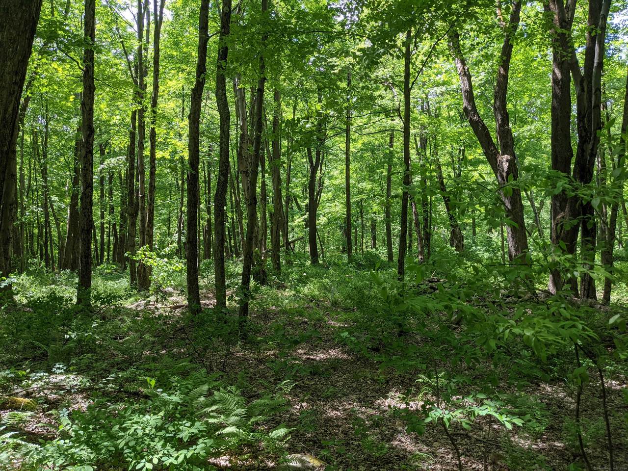 17 Old Homestead Lane - Photo 1