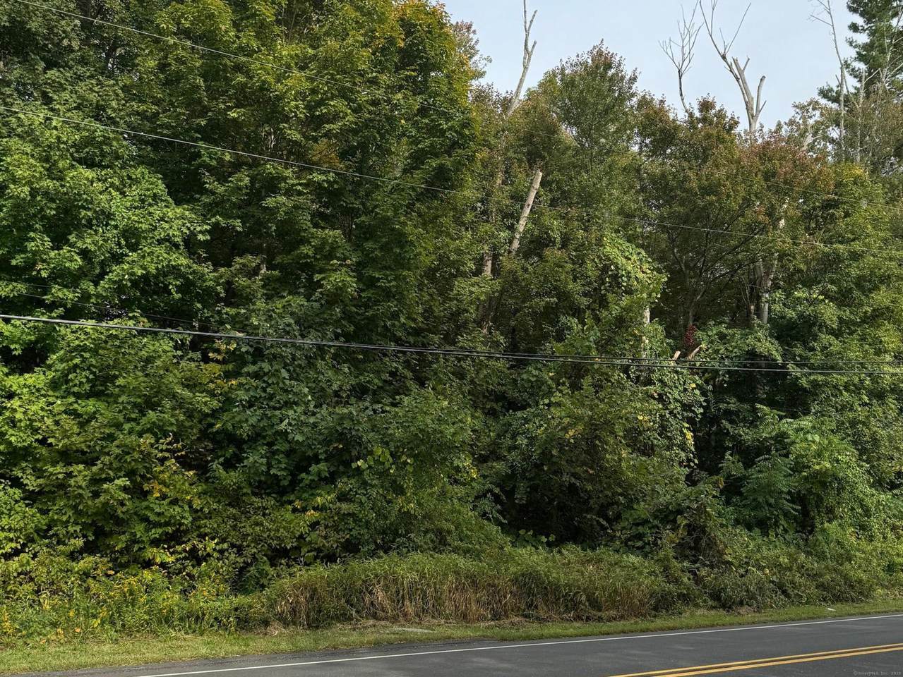 142 Turnpike Road - Photo 1