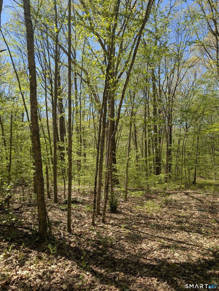  Englewood Trail - Photo 1