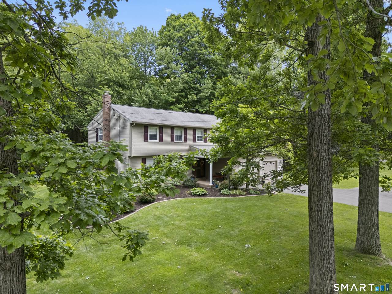 14 Amy Lane - Photo 1