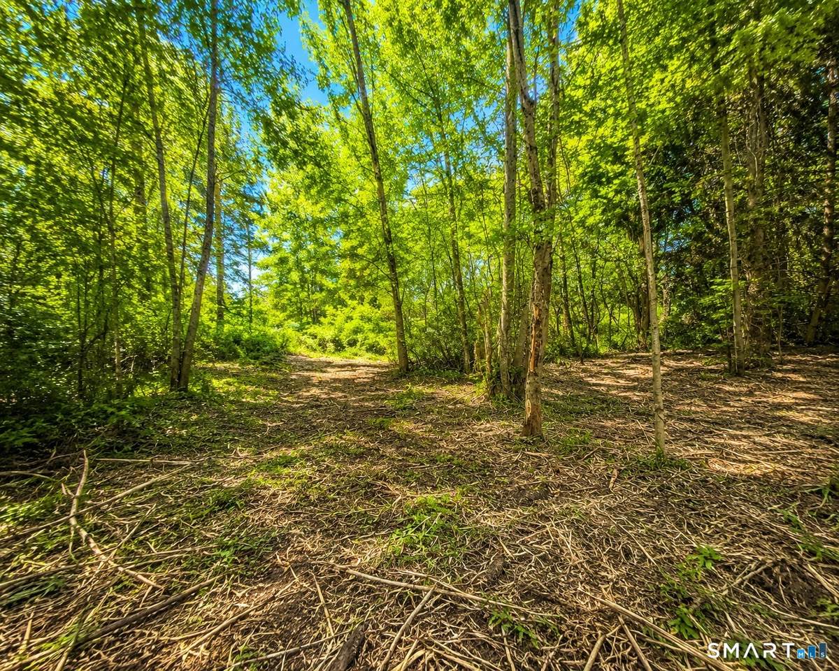 https://bt-photos.global.ssl.fastly.net/ctmls/1280_boomver_1_24175240-1.jpg