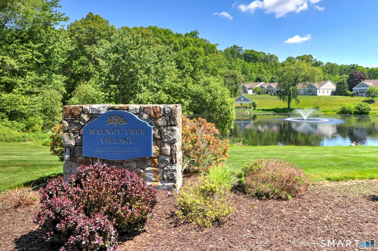 65 Elizabeth Circle - Photo 1